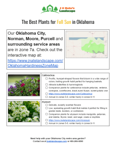 The Best Plants for Full Sun Central Oklahoma