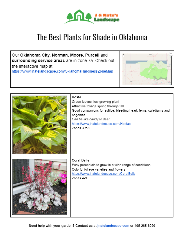 The Best Plants for Shade Central Oklahoma